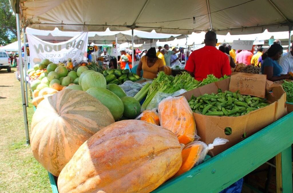 Upcoming Vendors’ Market In St. Lucy