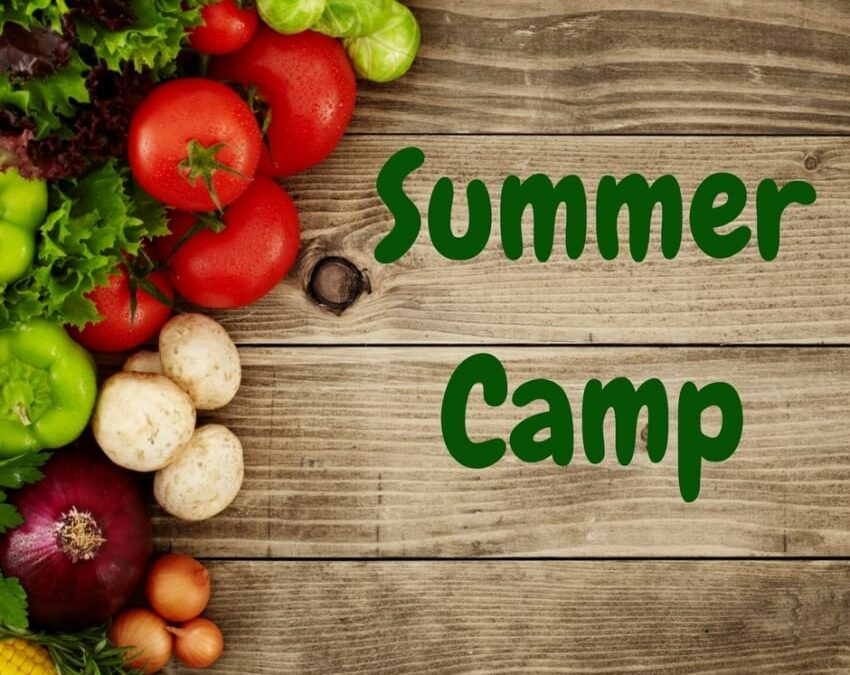 Nutrition Summer Camp Opens July 17